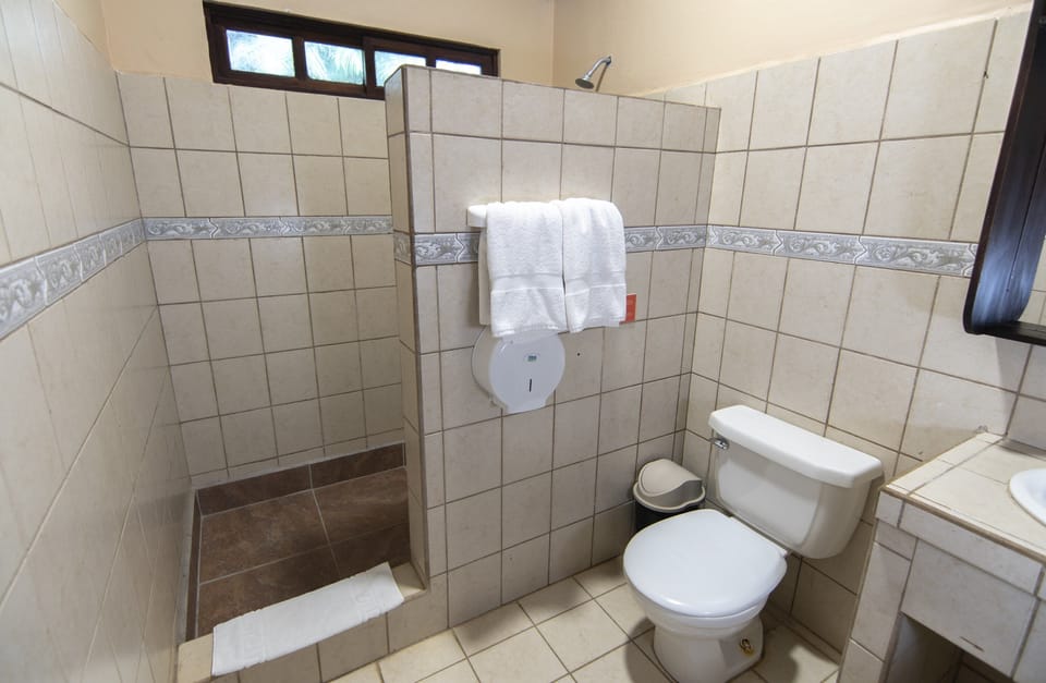 Lake Room | Bathroom | Shower, hair dryer, towels, soap