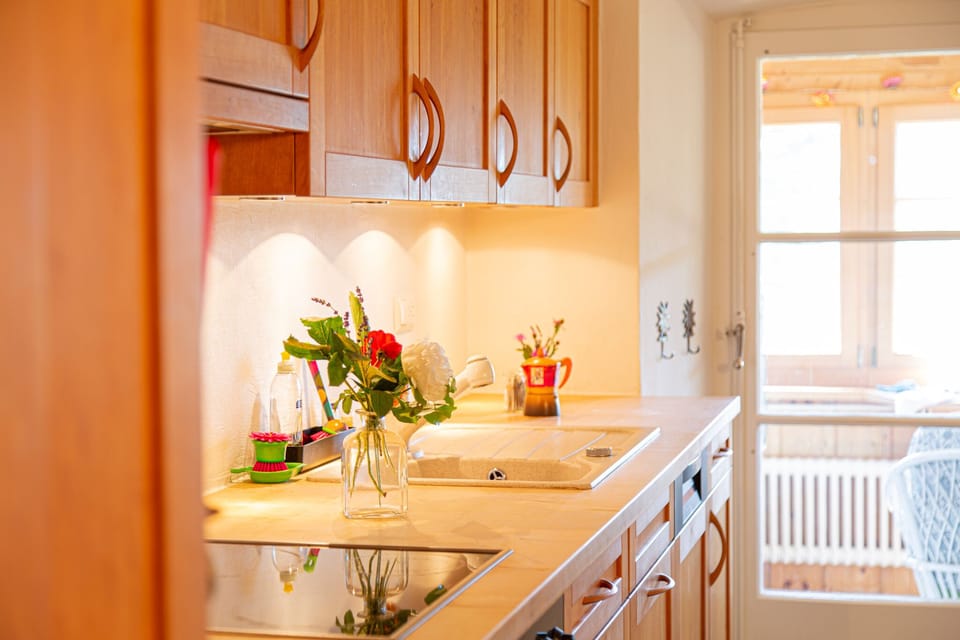 Exclusive Apartment, Private Bathroom, Mountain View (Grande cuisine - Véranda) | Private kitchen