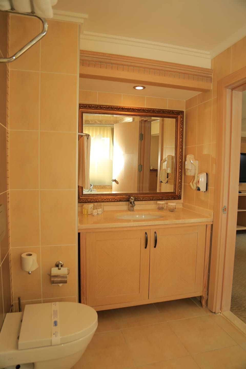 Combined shower/tub, free toiletries, hair dryer, towels