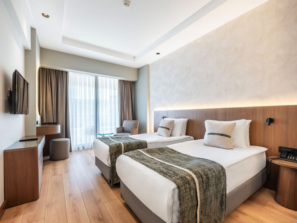 Standard Double or Twin Room, Mountain View | Minibar, in-room safe, desk, free WiFi