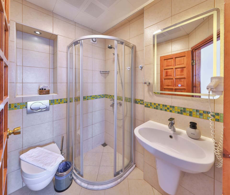 Shower, hair dryer, slippers, towels