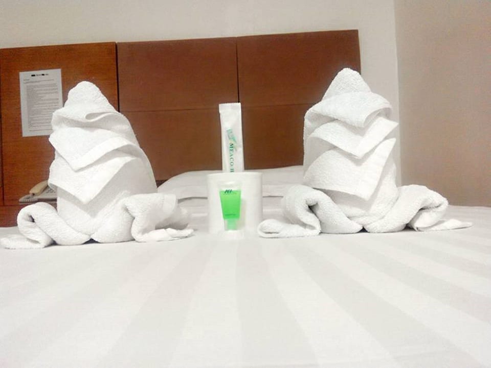 Shower, free toiletries, bidet, towels