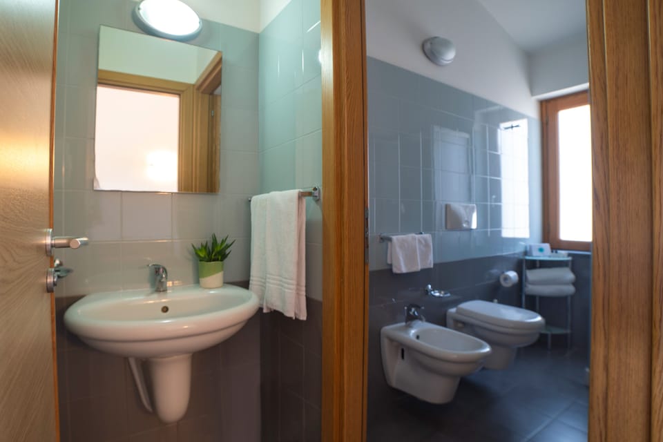 Shower, free toiletries, hair dryer, bidet