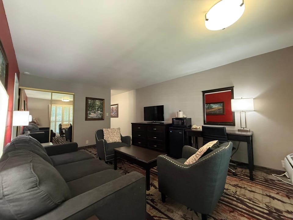 Business Suite | Living area | 26-inch flat-screen TV with satellite channels, TV