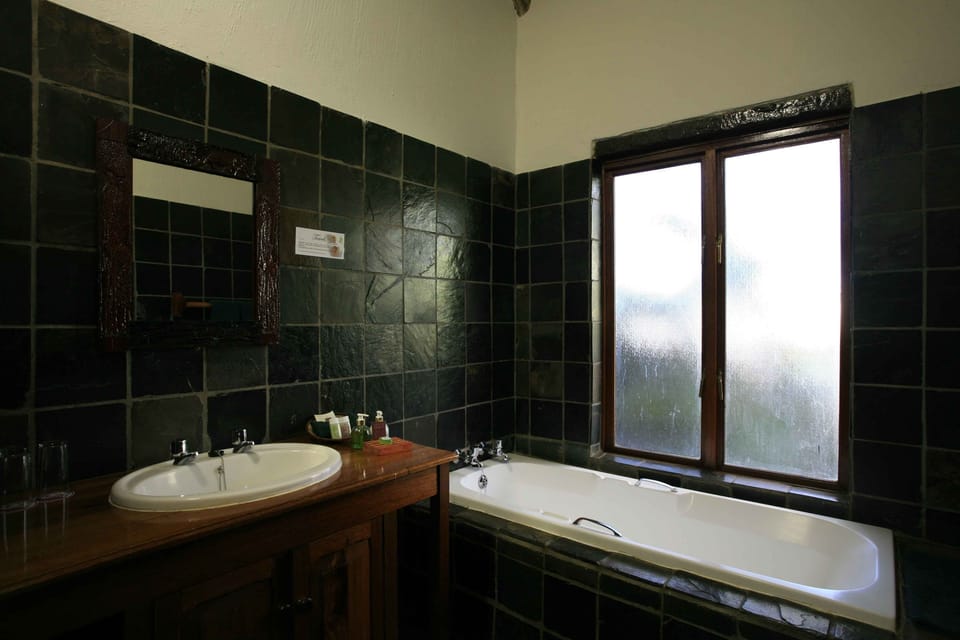 Deluxe Double or Twin Room | Bathroom | Separate tub and shower, free toiletries, hair dryer, towels