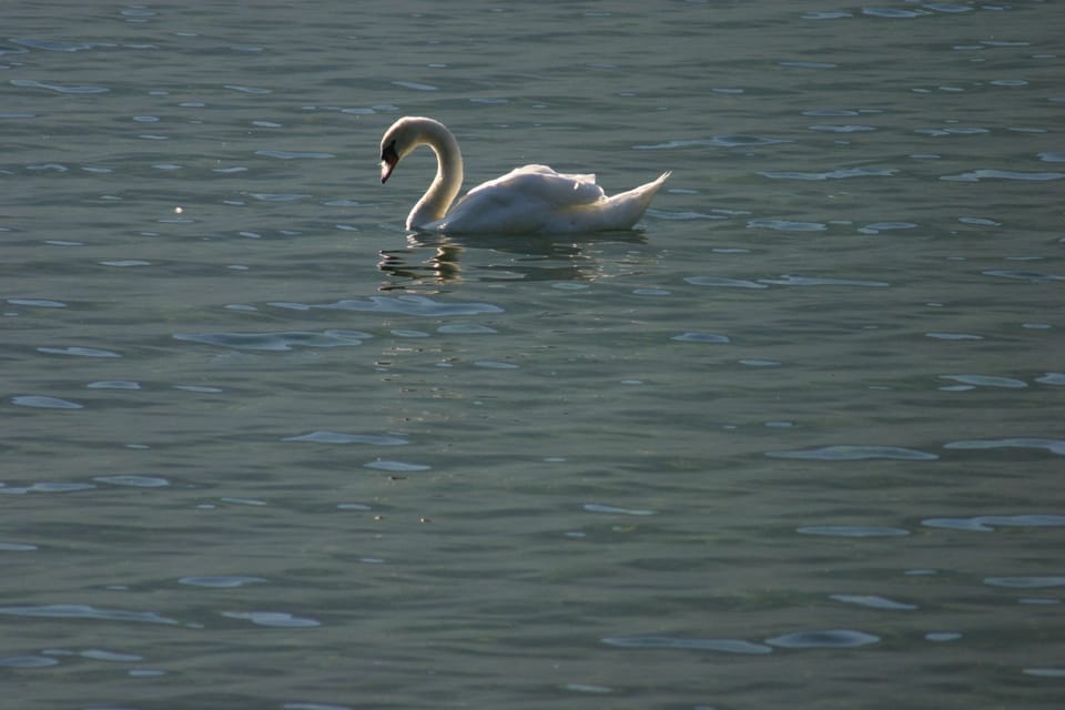 Boating