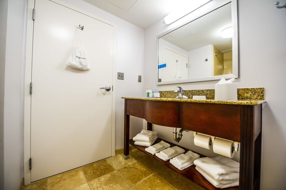 One king with sofabed non smoking | Bathroom | Hair dryer, towels