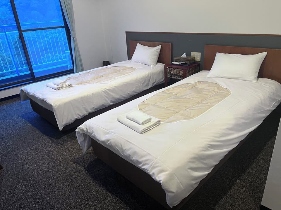 Economy Twin Bed Room [3rd floor, No elevator, Mountain side] Non-smoking | Desk, blackout drapes, WiFi (free), bed sheets