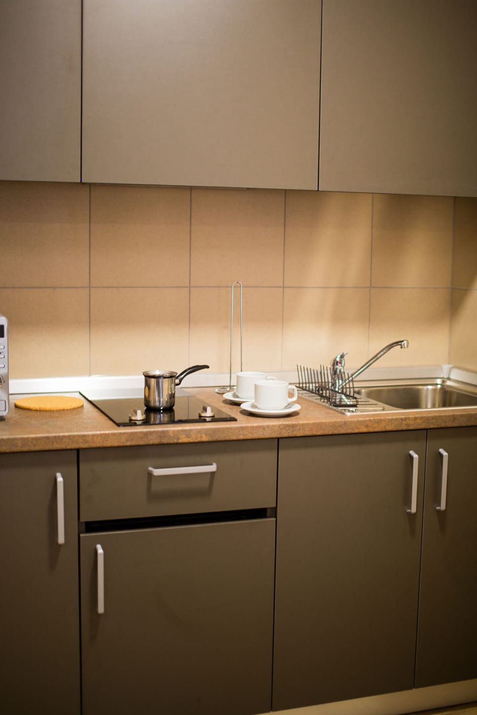Apartment, 1 King Bed with Sofa bed, Non Smoking, Kitchen | Private kitchen