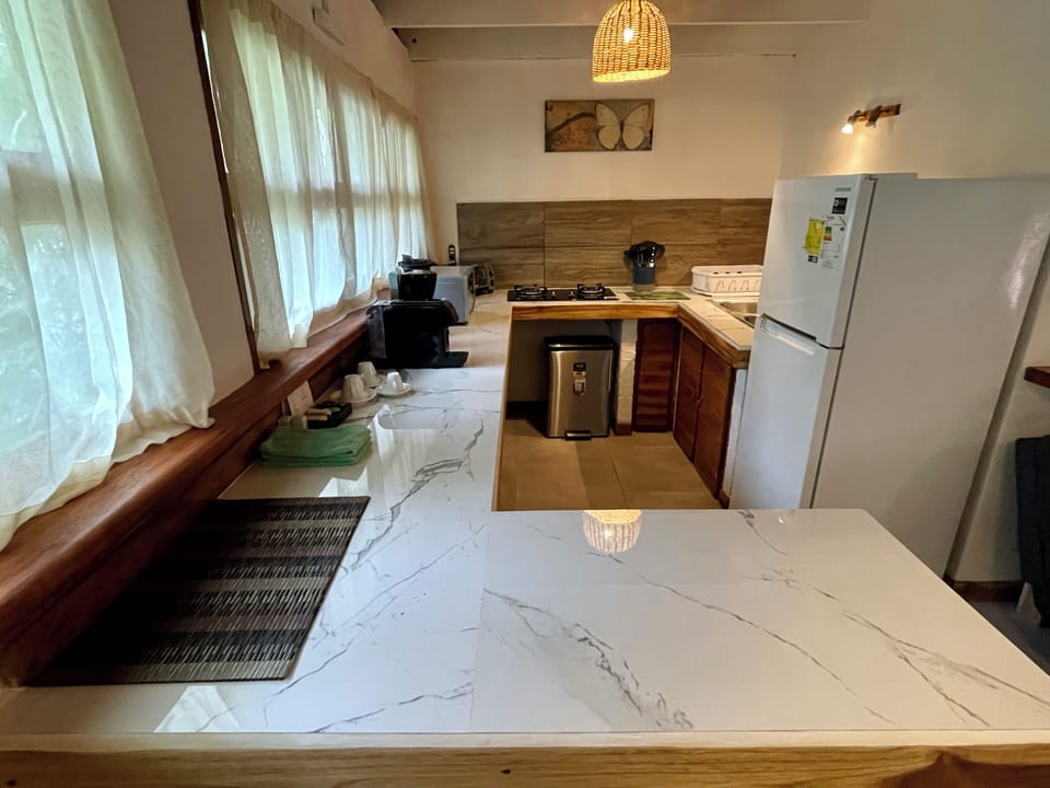 Superior Apartment, 2 Bedrooms, Kitchen, Garden View | Private kitchen | Fridge
