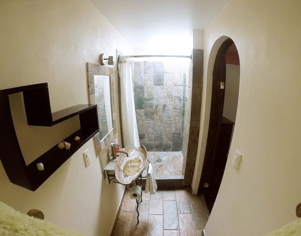 Premier Room, 2 Double Beds, Ensuite | Bathroom shower