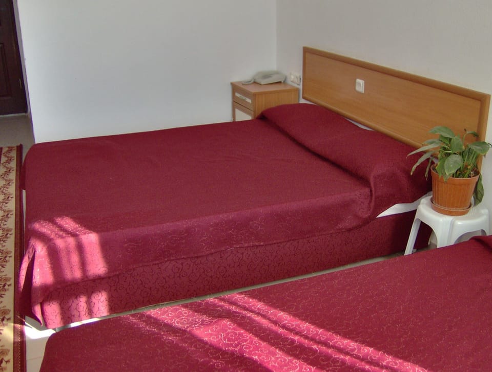 Standard Double or Twin Room | In-room safe, desk, free cribs/infant beds