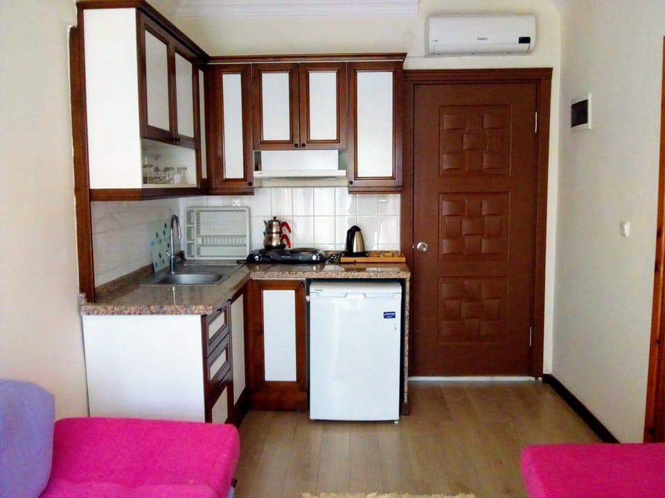 Apartment, 1 Bedroom, Kitchenette | Private kitchen | Fridge, electric kettle