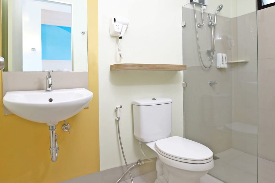 Shower, hair dryer, bidet, towels