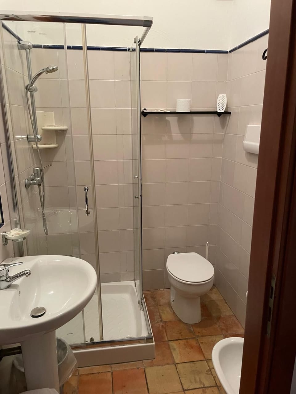 Shower, hair dryer, bidet