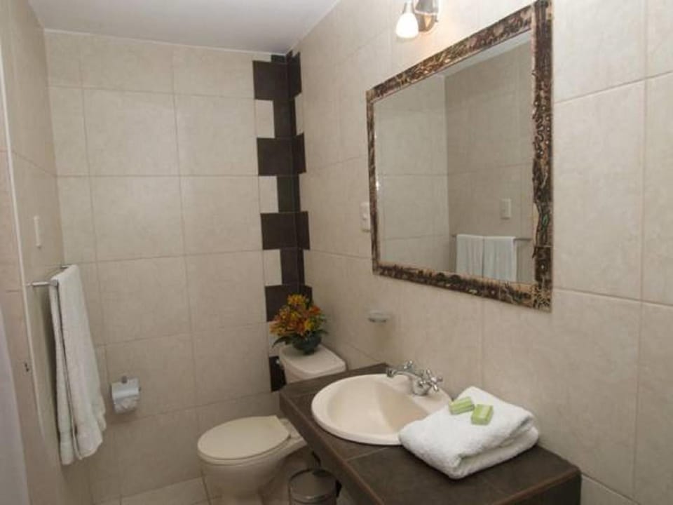 Shower, free toiletries, towels
