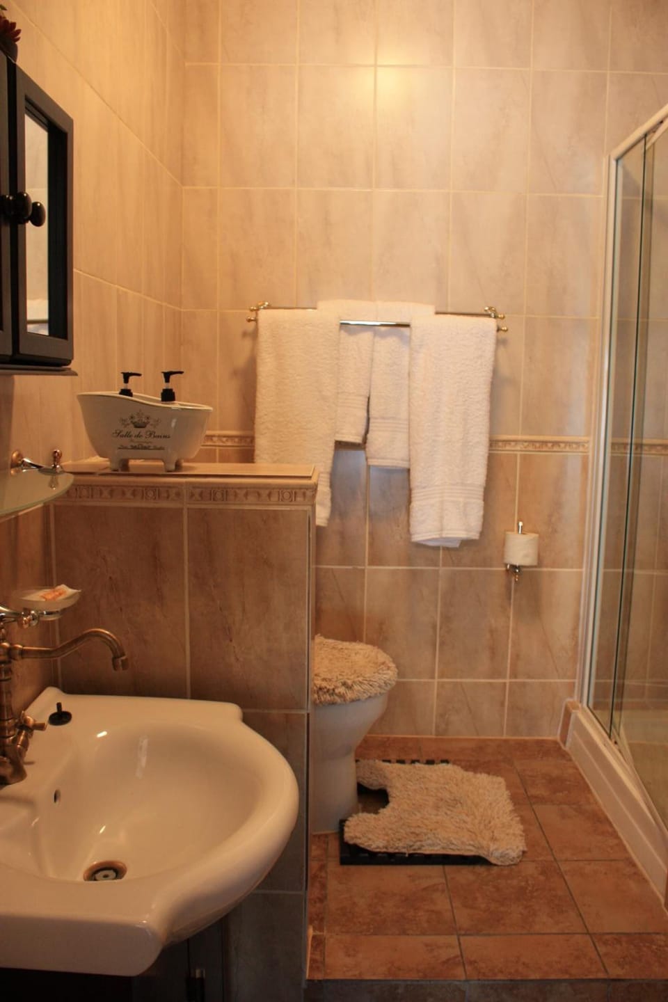 Shower, free toiletries, hair dryer, towels