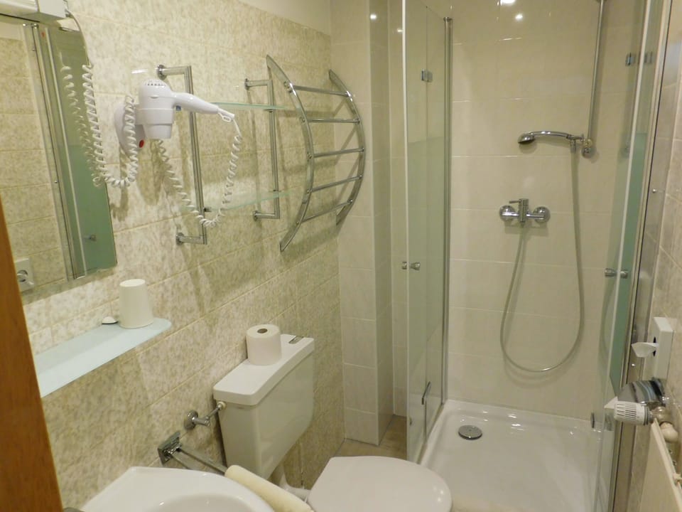 Single Room | Bathroom | Shower, hair dryer, towels