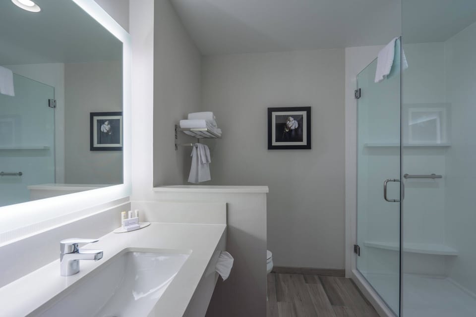 Hair dryer, towels