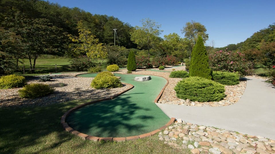 Mini-Golf, Putters and Balls in Cabin for your enjoyment. No Extra Charge To Use 