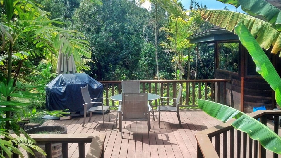 Back lanai with sunny breakfast spot and 5-burner grill. 