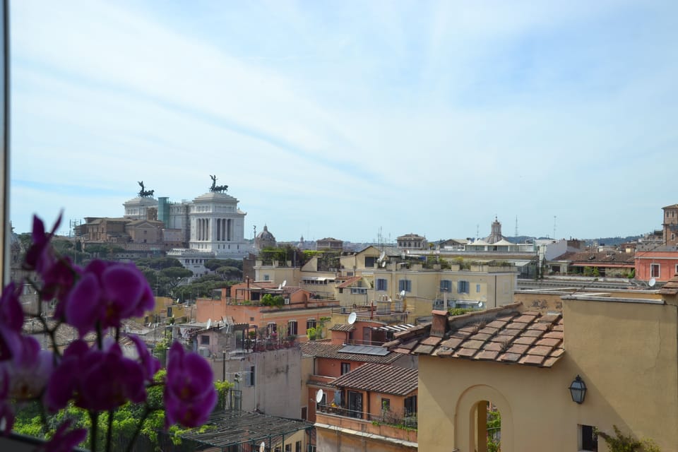 View from the kitchen