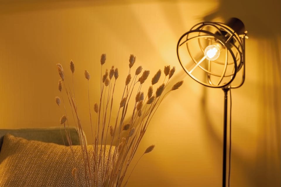 Deluxe Room | Individually decorated, individually furnished, free WiFi, bed sheets