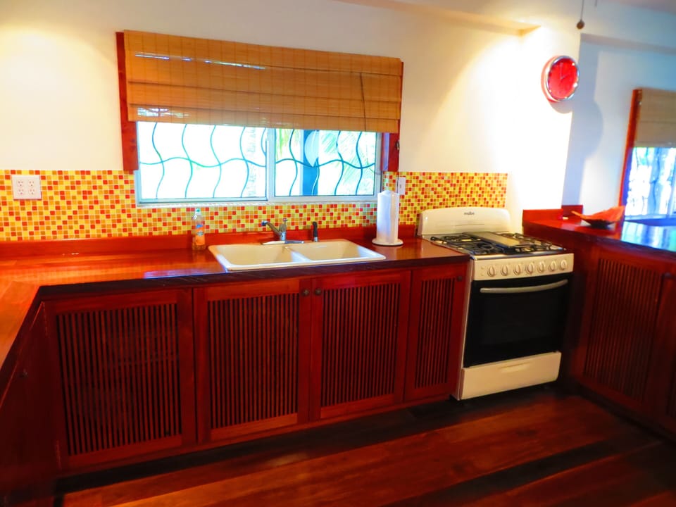 Kitchen with plenty of counter space and Belizean wood countertops 