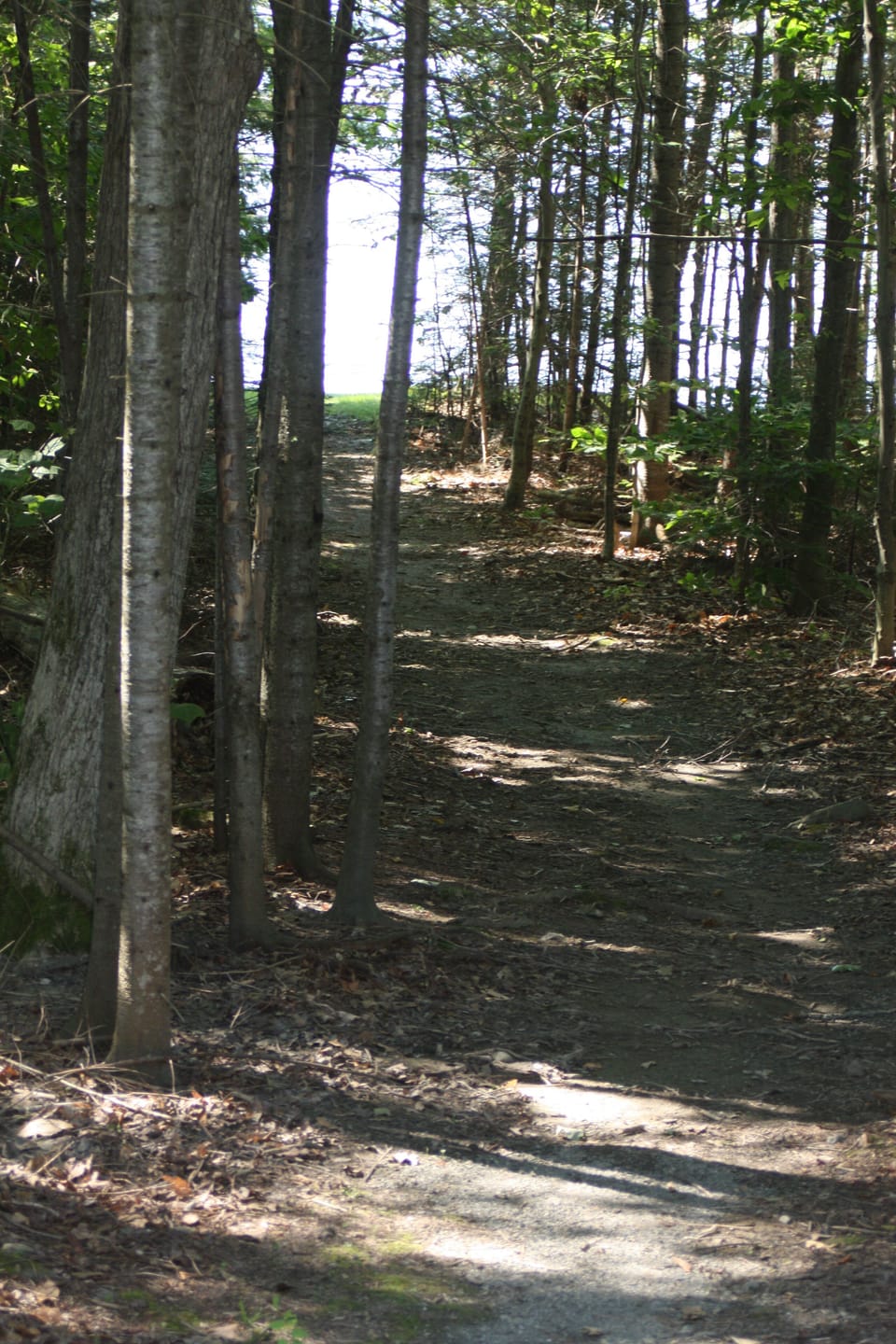 Walking path just down the road that leads to the association beach 