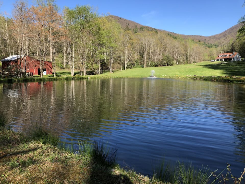 Very private property in the East Tennessee mountains. 