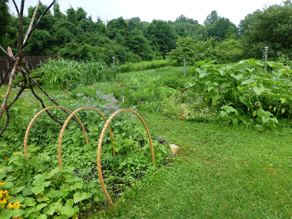 I'm happy to give a garden tour so you'l know what's ready to eat!