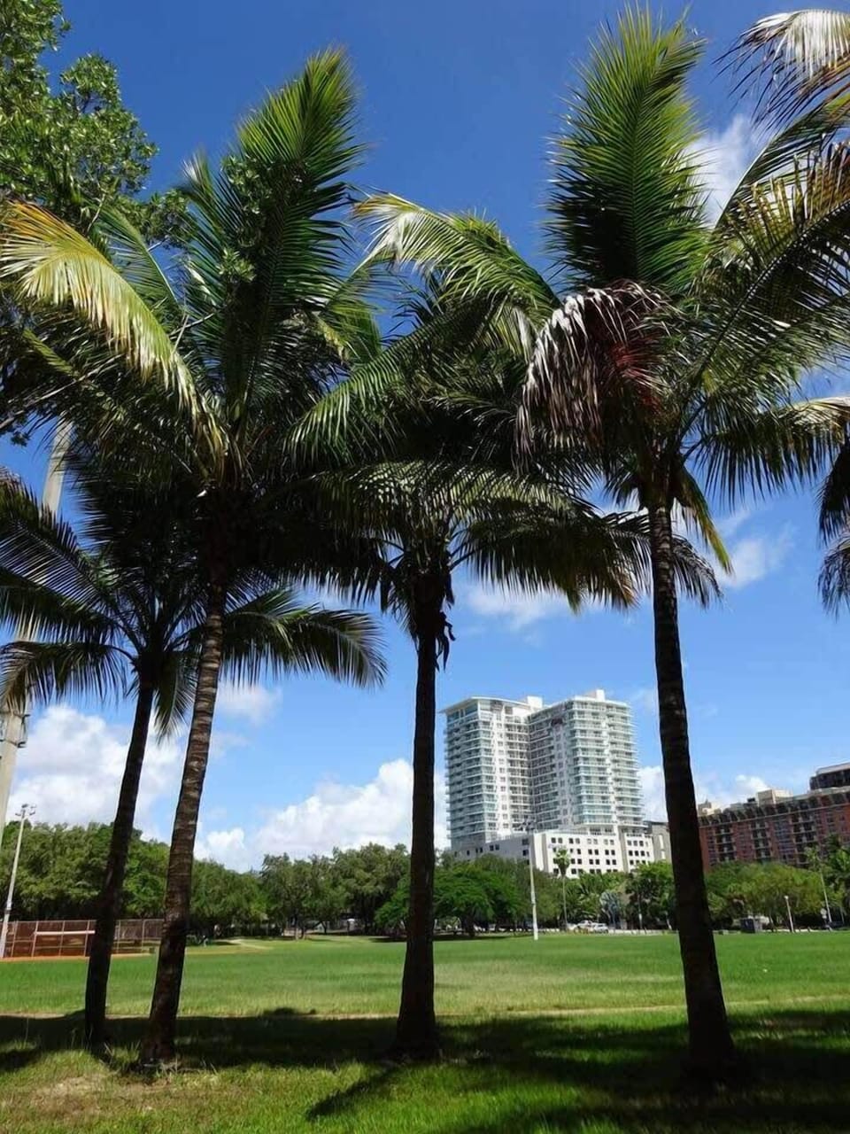 there is a nice park across from the building