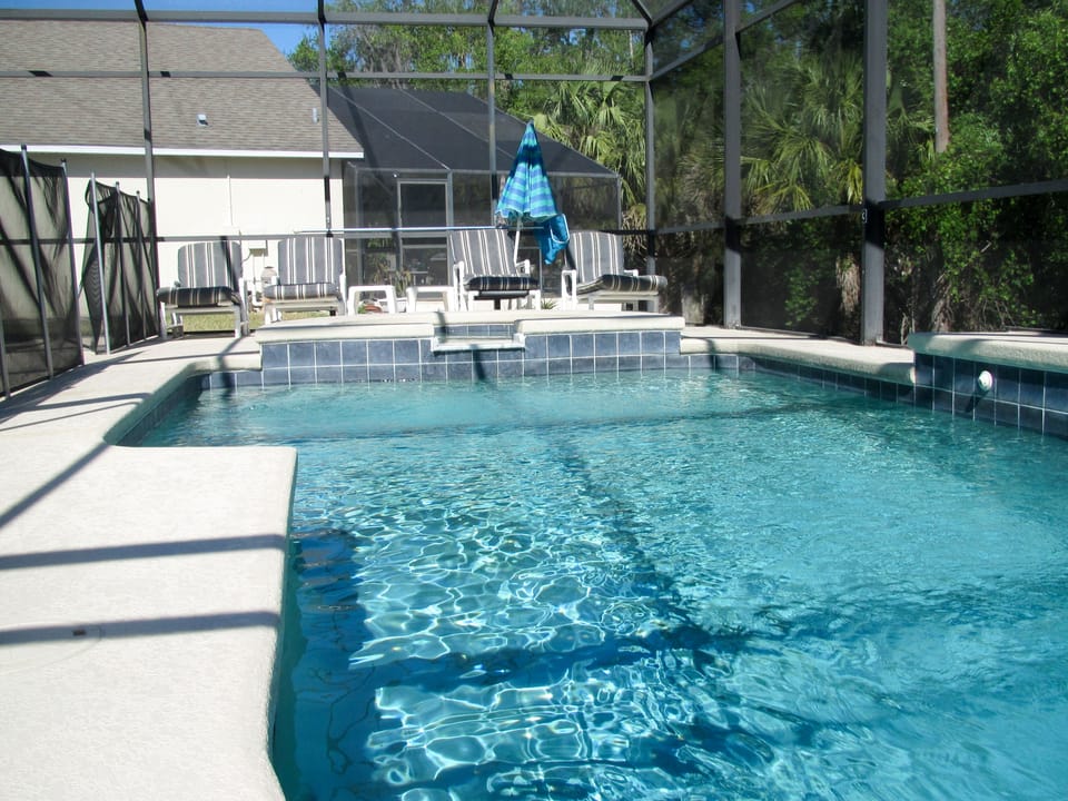 Pool & Spa