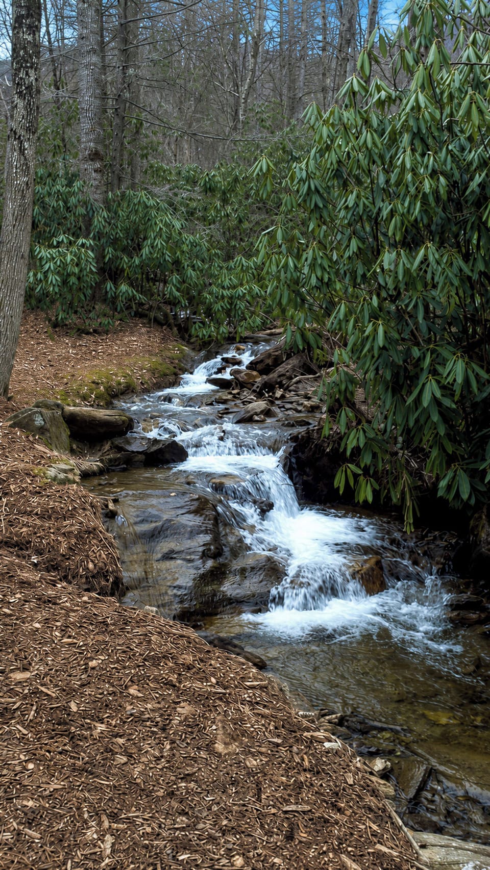 Walk right out to the rushing creek that runs through the property!