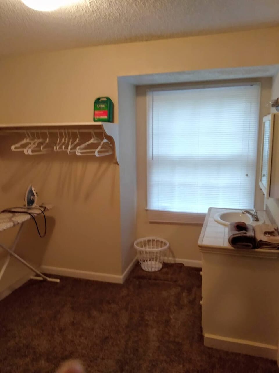Walk in Closet W/ Ironing Board & Iron & Small Sink.