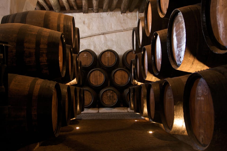 Port Wine Cellars at 800 meters