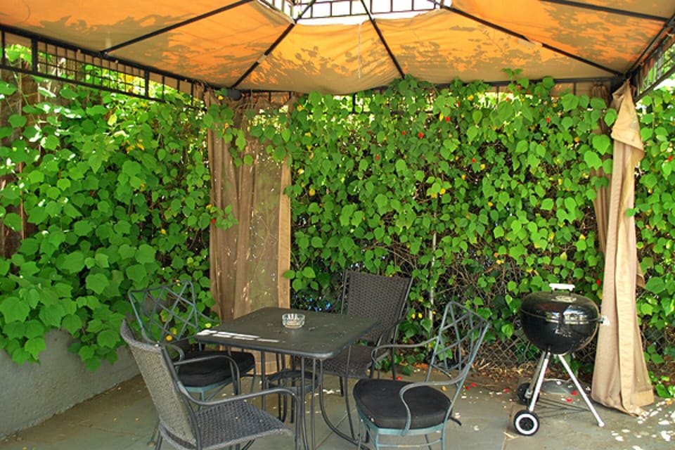 Backyaard & gazebo with outdoor seating
