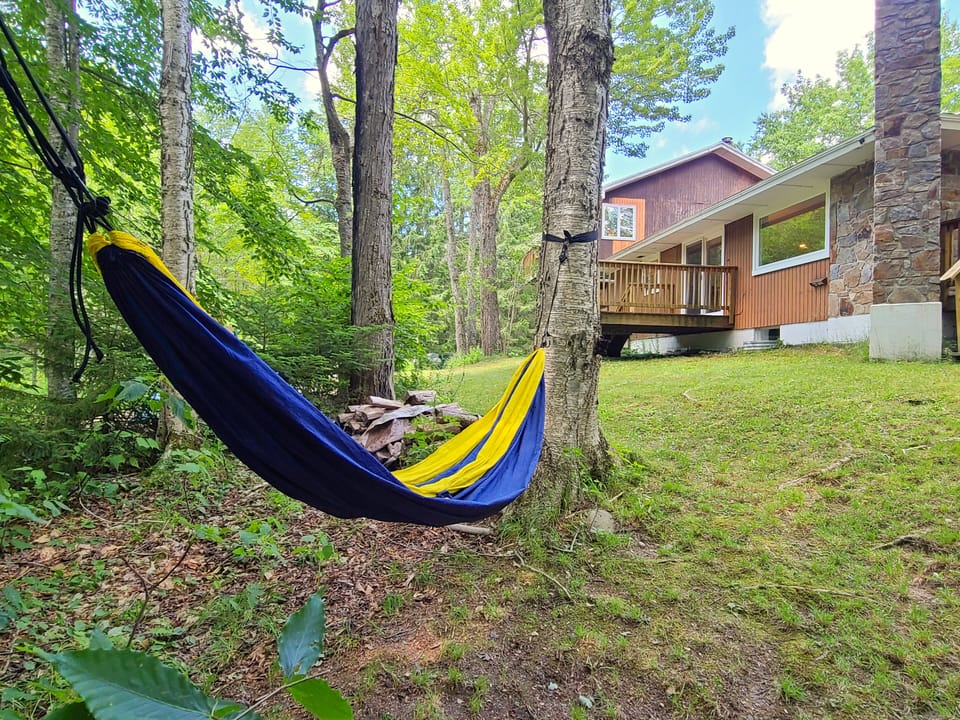 Quiet Backyard