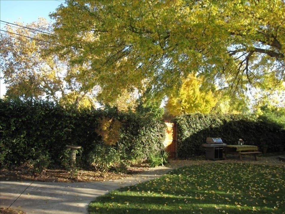 Private spacious fenced backyard