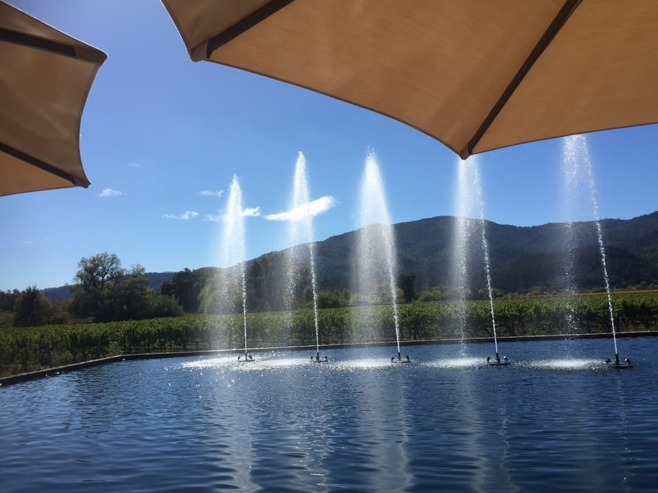 Popular Alpha Omega winery.  Lovely outside space to enjoy world class wines.