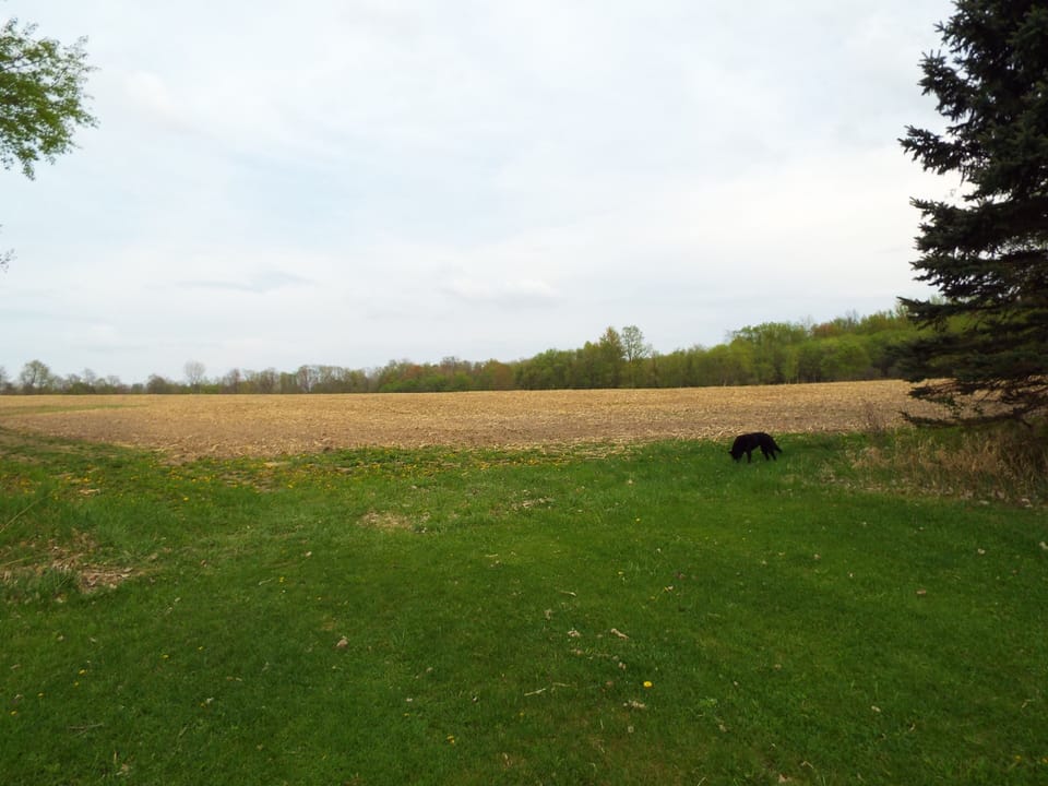 Entrance to the field. It's a 1.2 mile walk around field.
