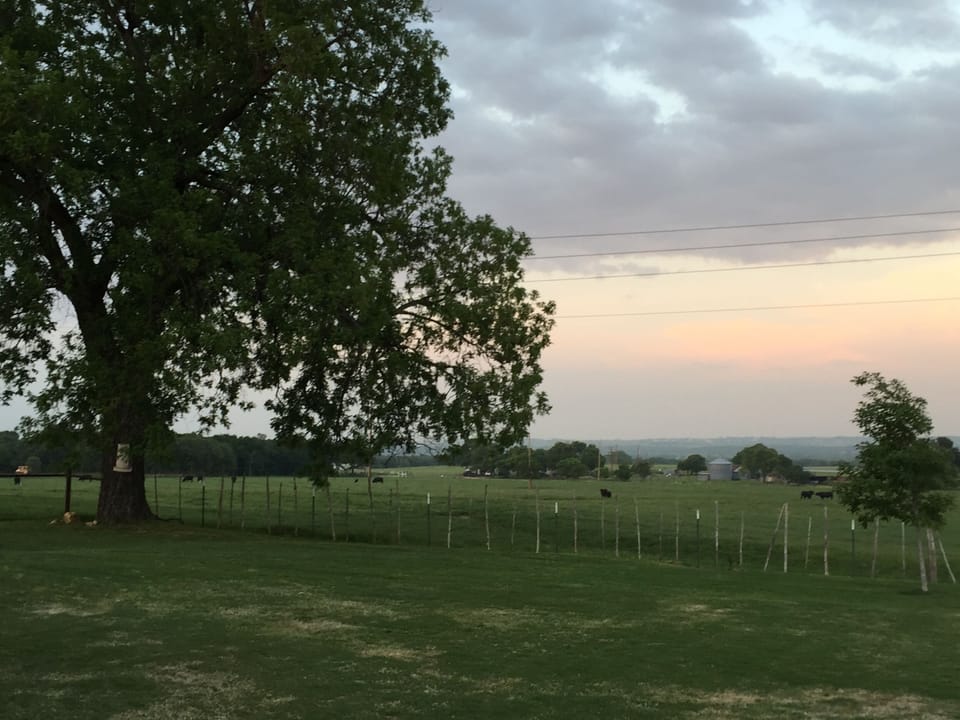 View from House