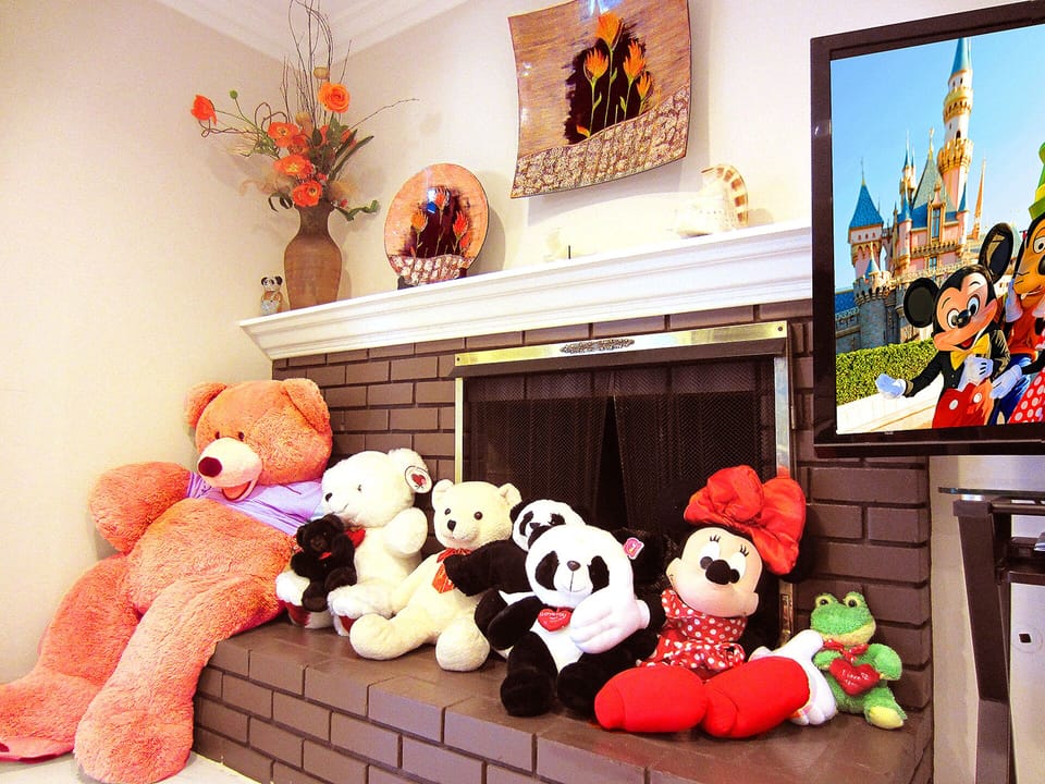 Fireplace in the kitchen with large screen TV as well as Direct TV programs.