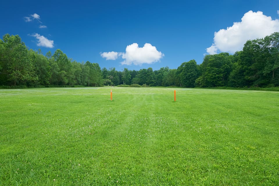 Expansive Polo Field