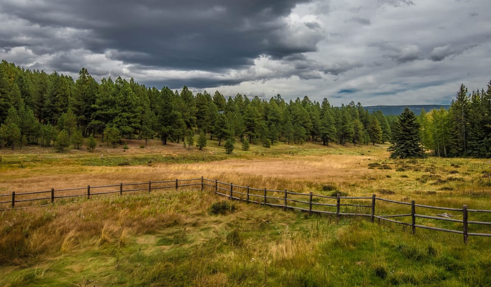 View of the valley in summer
