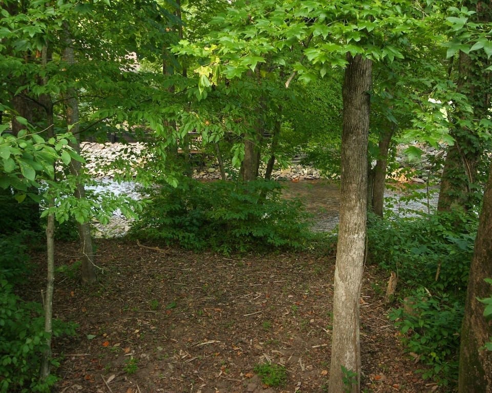 View of the Chattahoochee from our deck. 