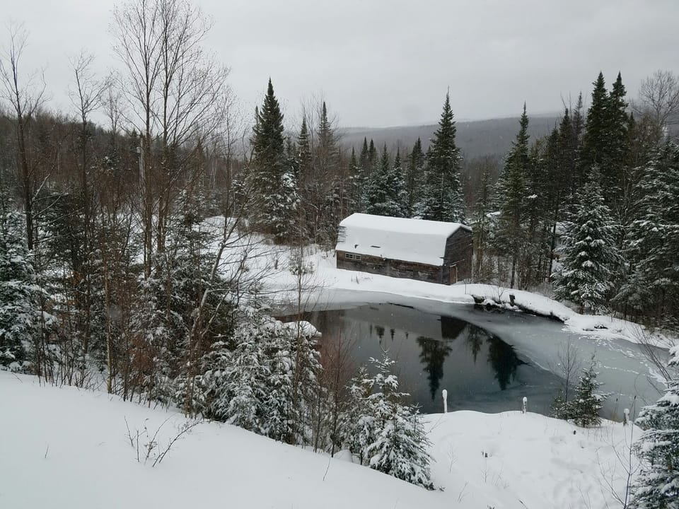 The view out of the dining room window in the winter