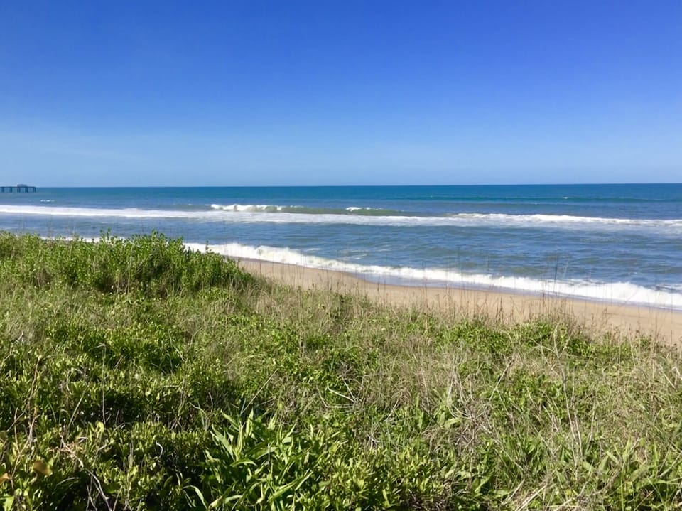 Beautiful beach and beautiful dunes.
