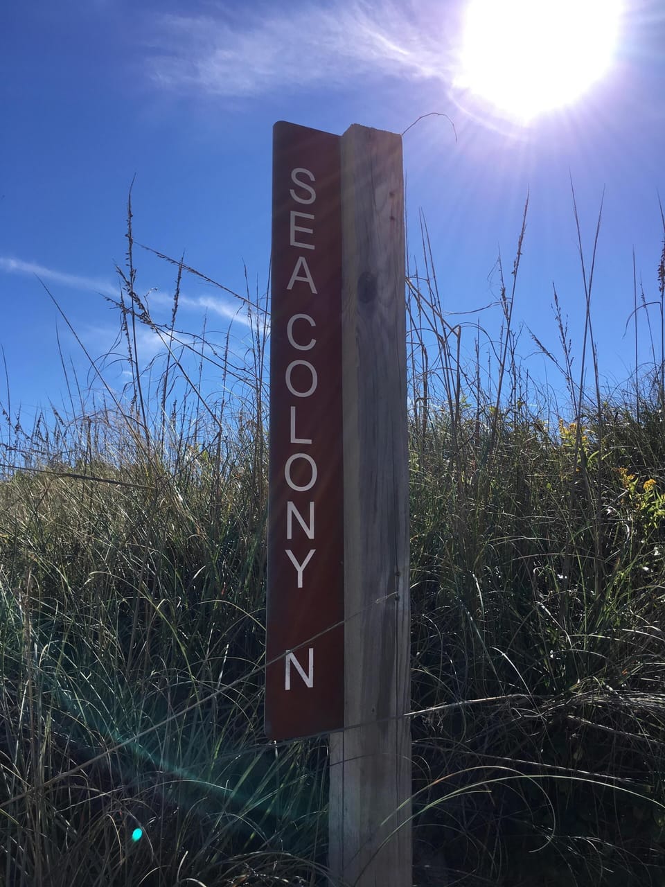 Just follow the sign--sand in two steps!