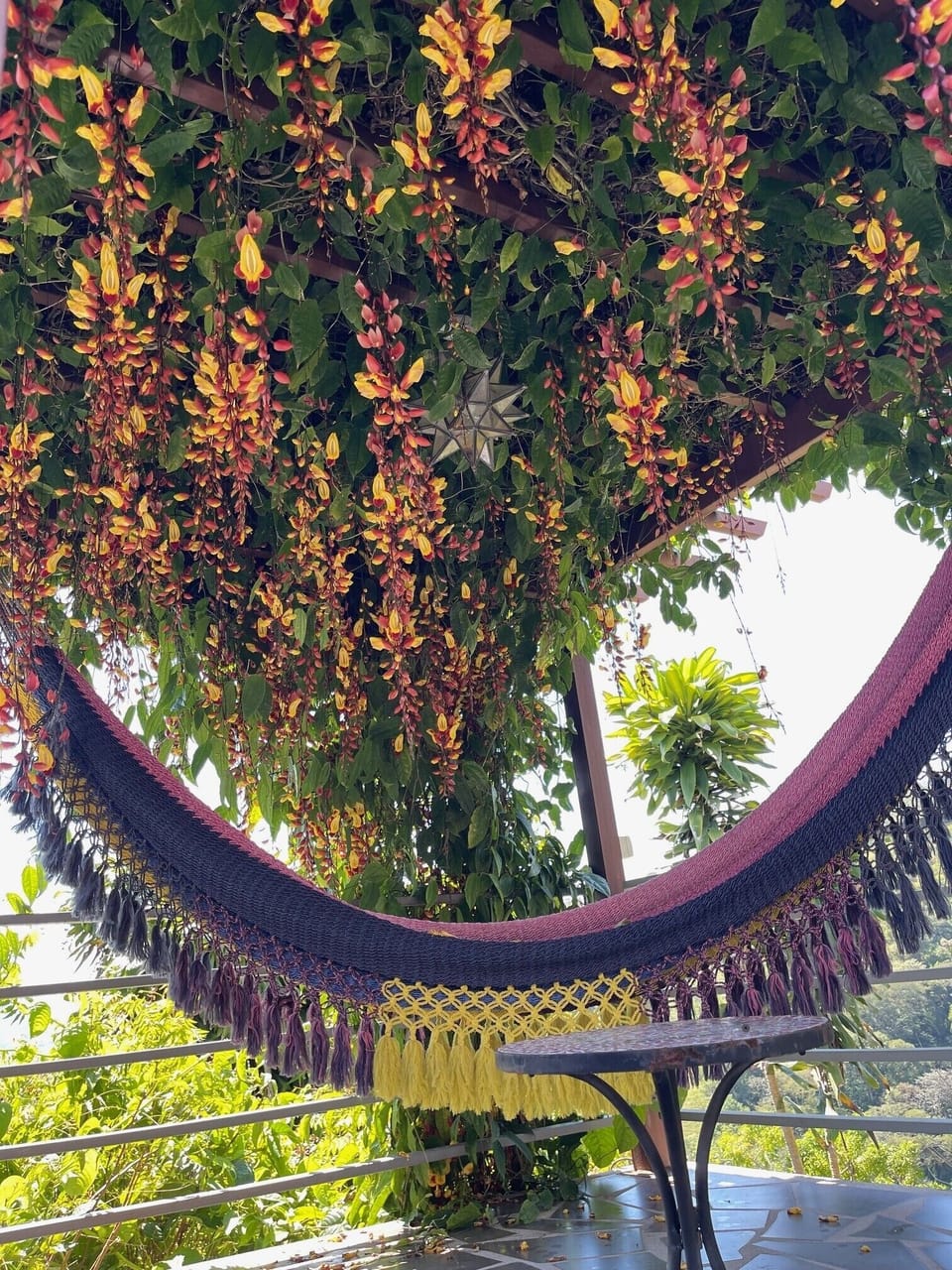 Gaze up at these flowers from the lazy hammock